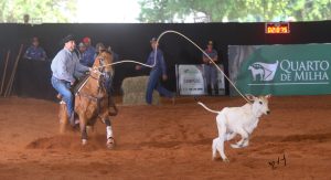 Sucesso a parceria entre ANLI e ABQM no Congresso