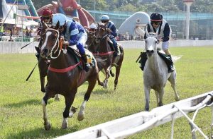 Cavalo Árabe brilha durante o principal evento do Turfe Paulista