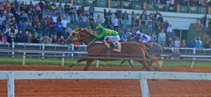 GP Brazilian Futurity e GP America Futurity agitam a tarde no Jockey Club de Sorocaba no sábado (7)