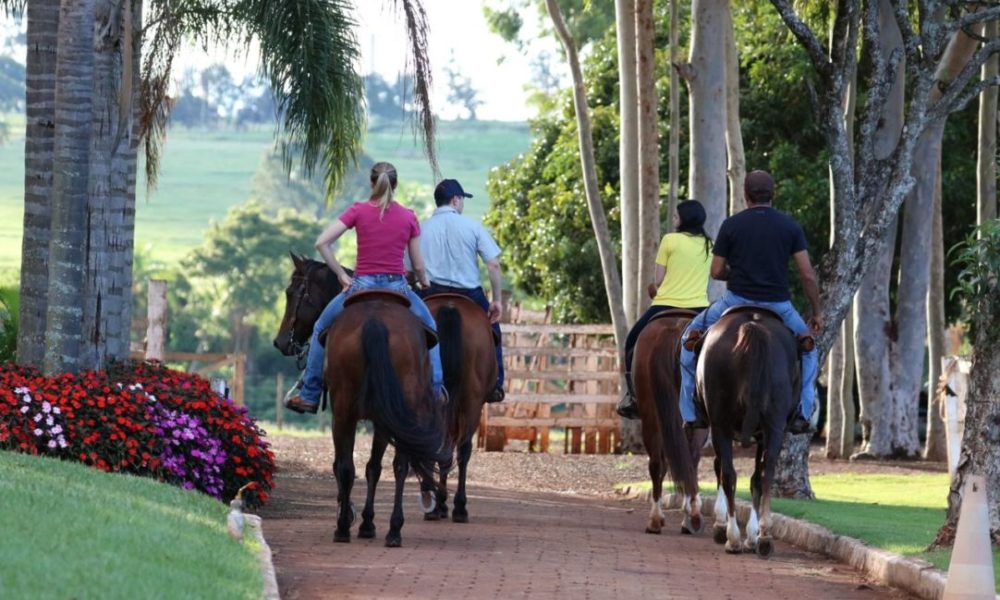 Rancho Promissão lança plataforma inédita de venda de cavalos com preço fixo