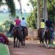 Rancho Promissão lança plataforma inédita de venda de cavalos com preço fixo