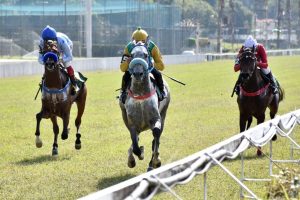 Gluck AJR e Clapton AJR brilham no Jockey Club de São Paulo