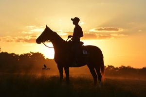 ABCCRM lança Projeto Gerando Campeões