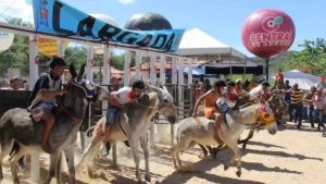 Corrida de jegue movimenta economia no Nordeste