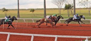 Emoção e adrenalina marcaram o Jockey Club de Sorocaba neste sábado