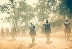 20ª Marcha Anual de Resistência do Cavalo Crioulo tem largada neste sábado