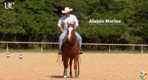 TV UC – O galope para acomodar a energia do seu cavalo