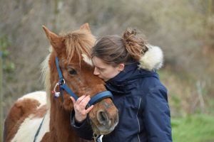 Confira cinco curiosidades sobre o cavalo!