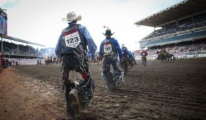 Brasil terá dois representantes no rodeio Calgary Stampede