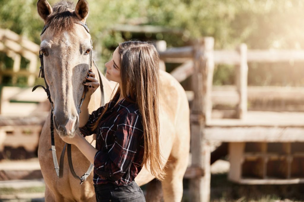 Vem aí o maior congresso para veterinários de equinos do Brasil