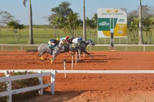 45º GP ABQM Potro do Futuro movimenta Jockey Clube de Sorocaba