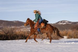 Inverno favorece a perda de escore corporal em equinos