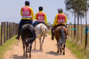 Copa Nacional do Cavalo Árabe reúne enduristas do Brasil e do mundo em SP