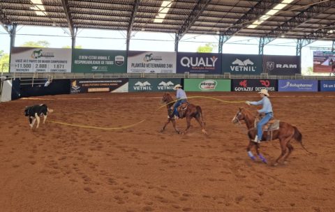 Emoção e boas laçadas marcam o sexto dia do Nacional do Cavalo Quarto de Milha