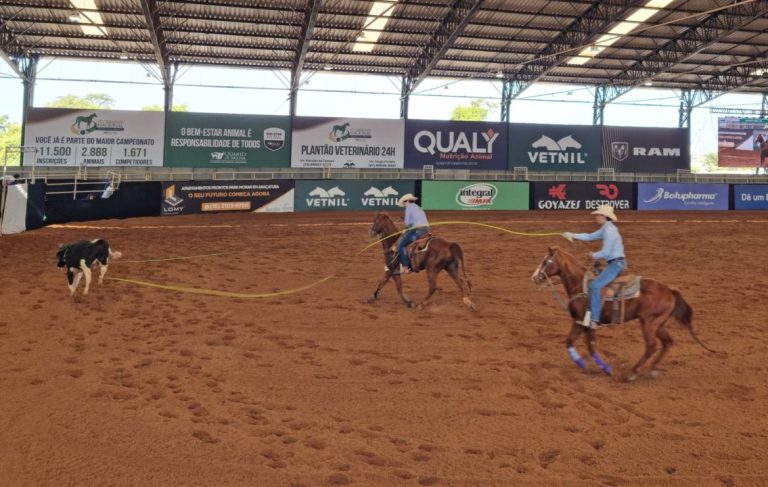 Emoção e boas laçadas marcam o sexto dia do Nacional do Cavalo Quarto de Milha