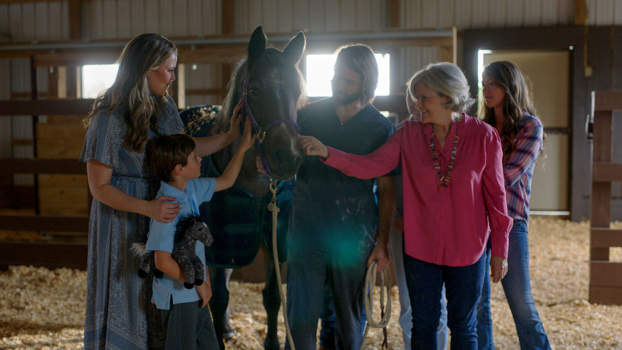 Filme Adeline traz emoção e drama em torno de um cavalo muito especial 