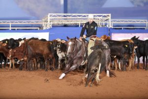 Finais da Apartação movimentam o 45º Nacional do Quarto de Milha