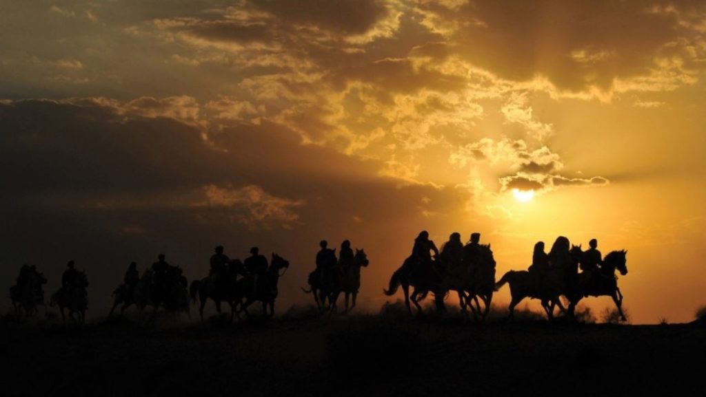 Gallops Tunisia