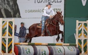 Chega ao fim a grande festa do Cavalo Quarto de Milha