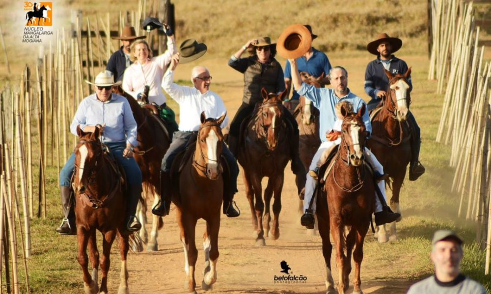 Núcleo Alta Mogiana se destaca pelo trabalho de fomento ao Cavalo Mangalarga em SP