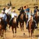 Núcleo Alta Mogiana se destaca pelo trabalho de fomento ao Cavalo Mangalarga em SP