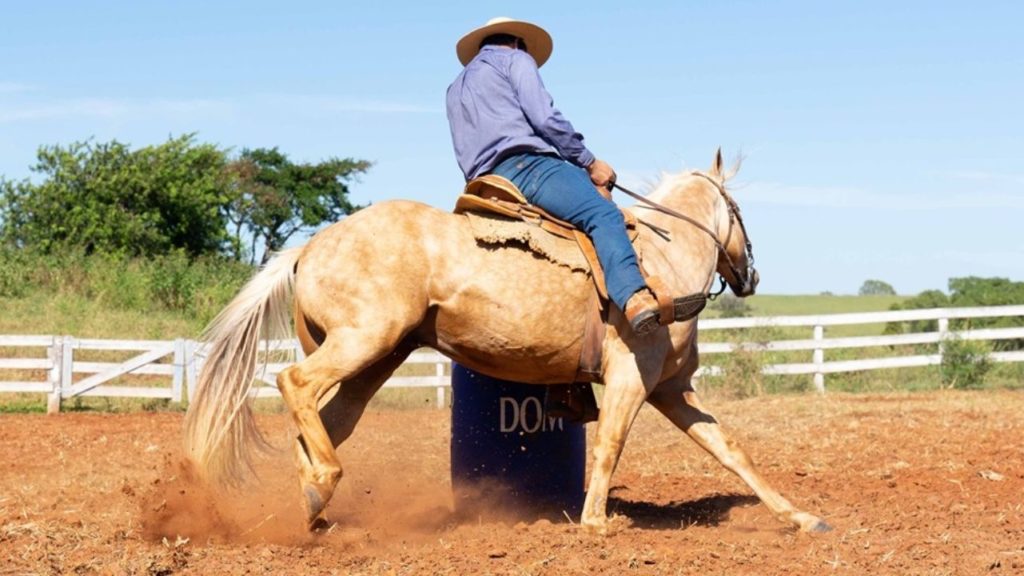 Como evitar a aposentadoria precoce de cavalos atletas por doença articular degenerativa?
