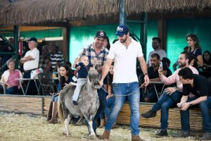 Sucesso de público marca a 36ª Exposição Nacional do Cavalo Pônei