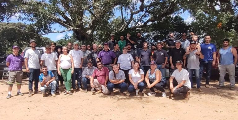 Trabalho voluntário oferece atendimento a cavalos de carroceiros