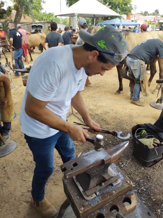 Trabalho voluntário oferece casqueamento, ferrageamento e atendimento veterinário a cavalos de carroceiros