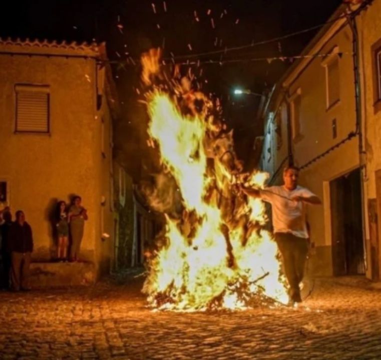 Tradição de São João faz cavalos saltarem fogueiras em Portugal