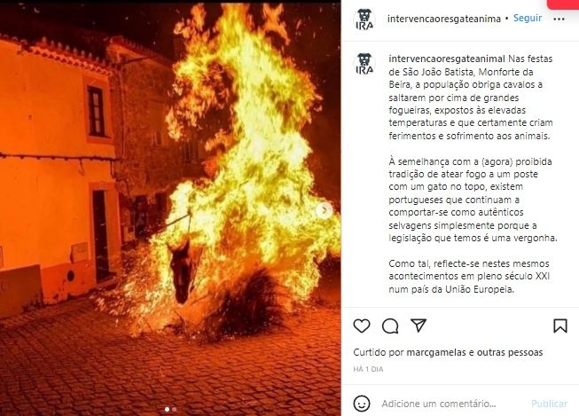 Tradição de São João faz cavalos saltarem fogueiras em Portugal
