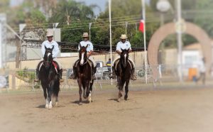 Tradicional Expo Mangalarga da EAPIC/2022 chega a sua 47ª edição