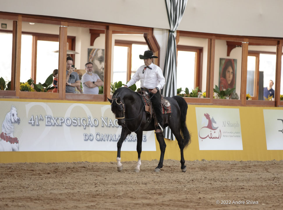 Nacional 2022 é tema do Programa do Cavalo Árabe desta quarta-feira