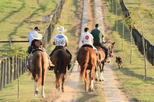 1ª Cavalgada do Haras Germana surpreende pela procura