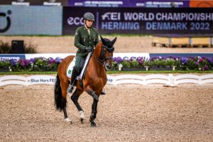 Mundial de Hipismo tem brasileiros em destaque