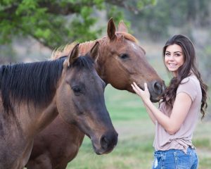 Como realizar o manejo adequado dos cavalos?