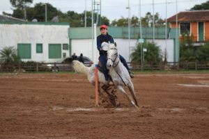 Cavalo Árabe é um dos destaques da 45ª Expointer no RS