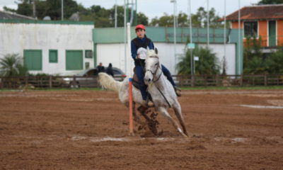 Cavalo Árabe é um dos destaques da 45ª Expointer no RS