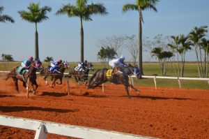 Jockey Club de Sorocaba recebe sete páreos com bolsa total de R$ 18 mil