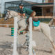 Exposição Nacional 2022 volta a ser destaque do Programa do Cavalo Árabe nesta quarta-feira