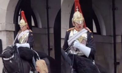 Guarda da Rainha grita com turista que coloca as mãos nas rédeas do cavalo
