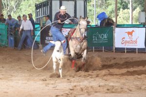 Final da PCRT 2021 reúne os melhores laçadores da temporada