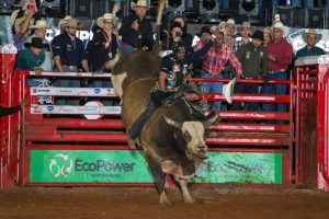 Cássio Dias é o grande Campeão da PBR Brazil 2022