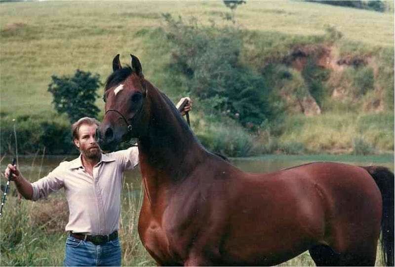 Pais que são exemplos a serem seguidos no mundo do cavalo