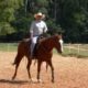 Aluísio Marins explica na TV UC de hoje a importancia do cavalo de Tambor saber trabalhar com rédea fechada de pescoço