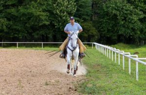 TV UC ensina exercício para soltar o cavalo