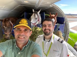 Transporte aéreo facilita e viabiliza viagens de animais entre todas as regiões do Brasil