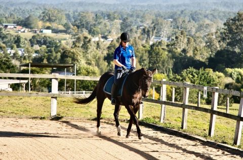 20º Encontro Internacional de Horsemanship trouxe conhecimento e negócios aos apaixonados por cavalos