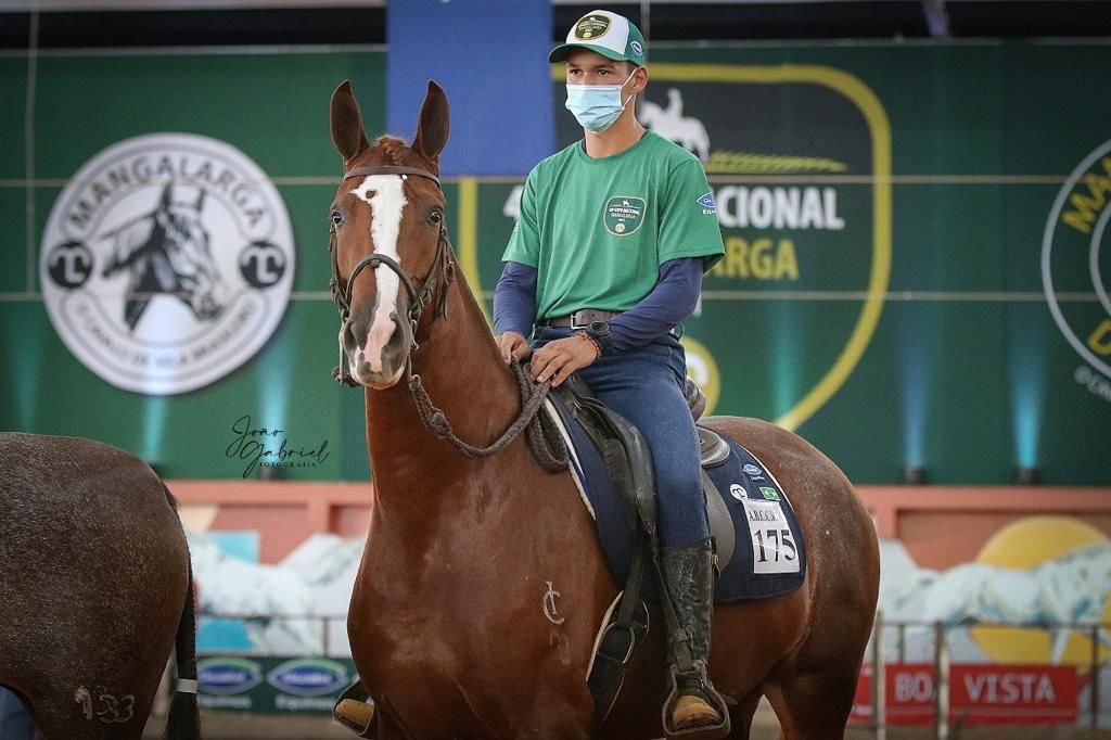 ABCCRM promove a 44ª Exposição Nacional do Cavalo Mangalarga