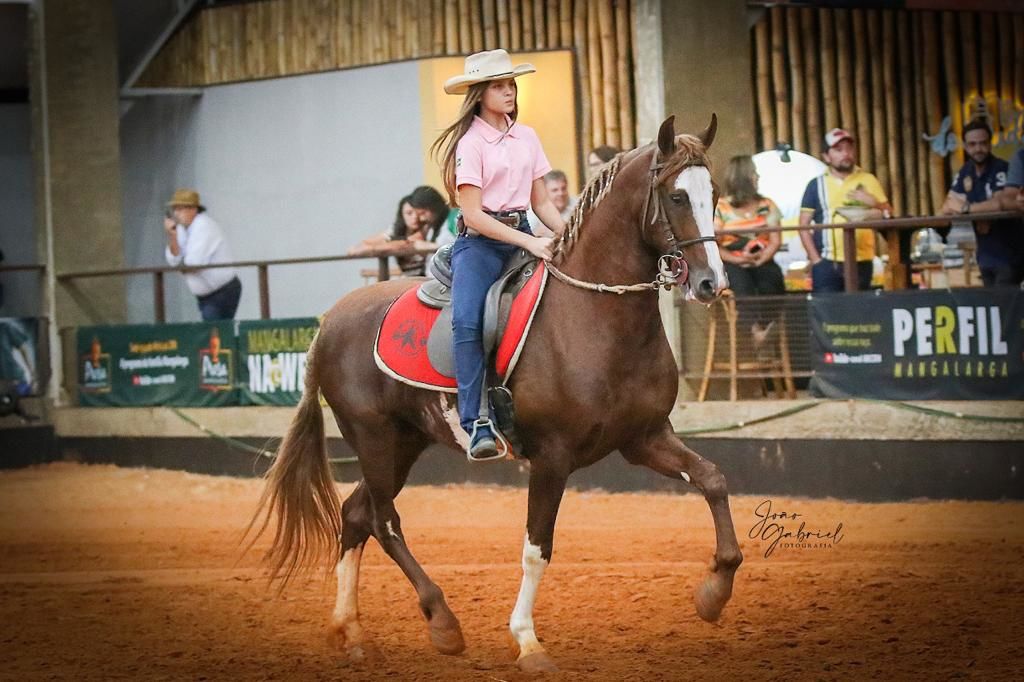 ABCCRM promove a 44ª Exposição Nacional do Cavalo Mangalarga